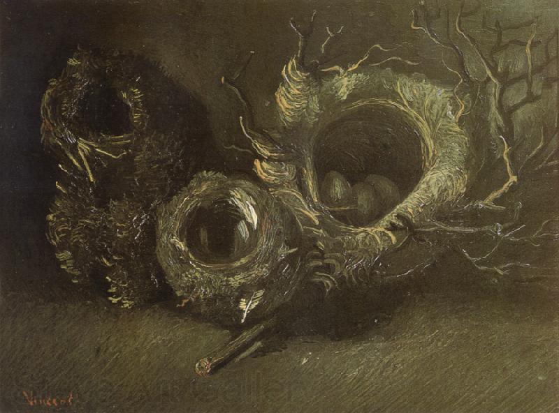 Vincent Van Gogh Still life wtih Three Birds'Nests (nn04) Spain oil painting art